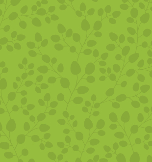 See more Restoration Projects