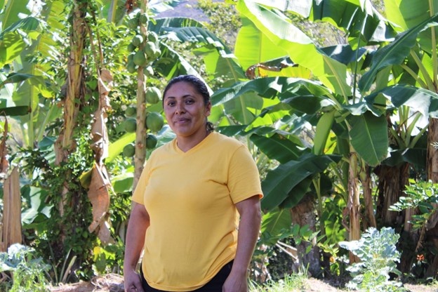 SHI-Honduras partner farmer Consuelo Galeas plants coffee, plantain, and citrus fruits in her agroforestry parcel.